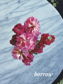 intentions.international